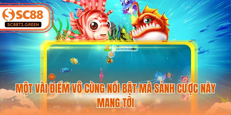 Một vài điểm vô cùng nổi bật mà sảnh cược này mang tới